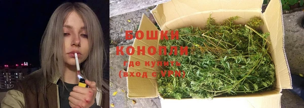 трава Верея